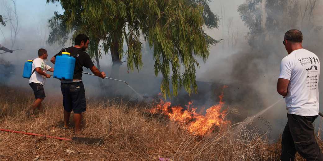 Хотела сжечь документы — а сожгла гектар полей