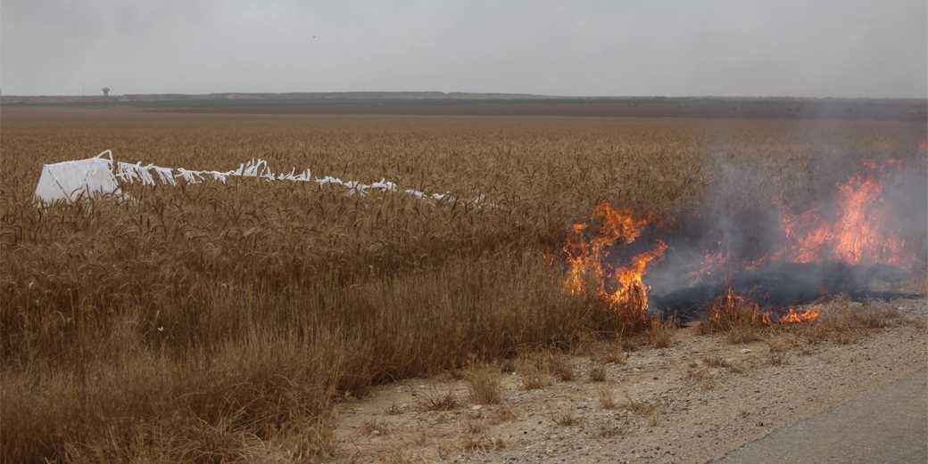 Пожарные тушат кустарник в районе Эшколь: «огненный террор» продолжается?