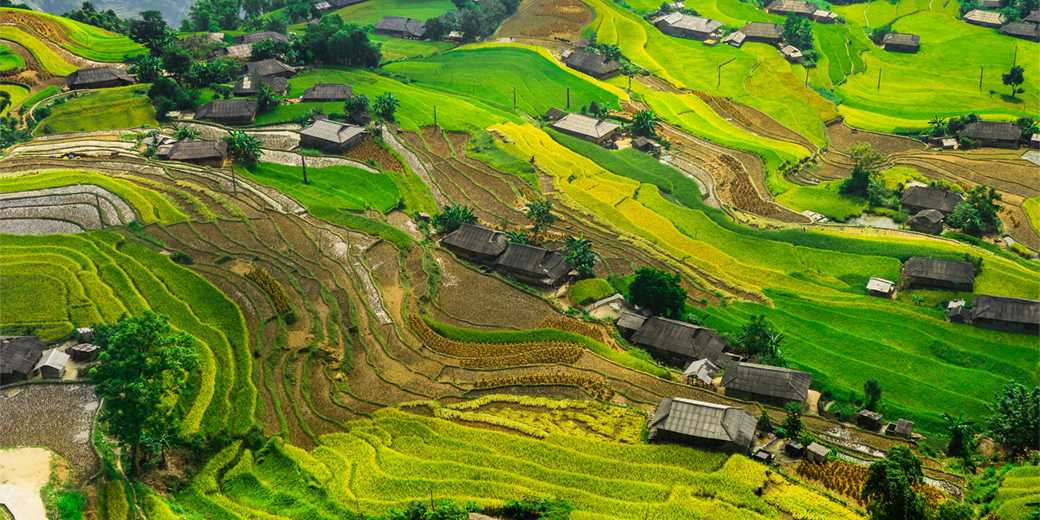 rice-fields-terrace-pixabay