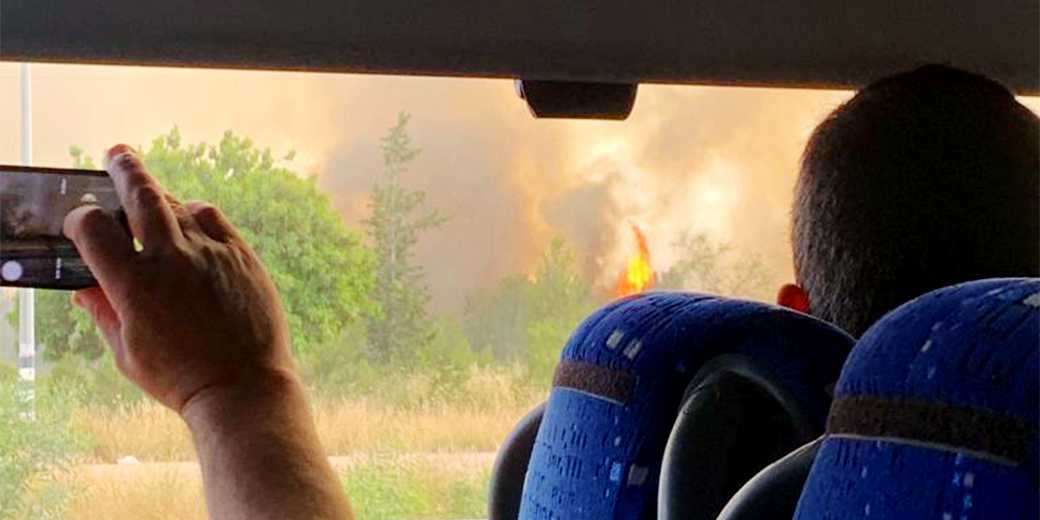 Пожар глазами очевидца и готовность Израиля к ЧП