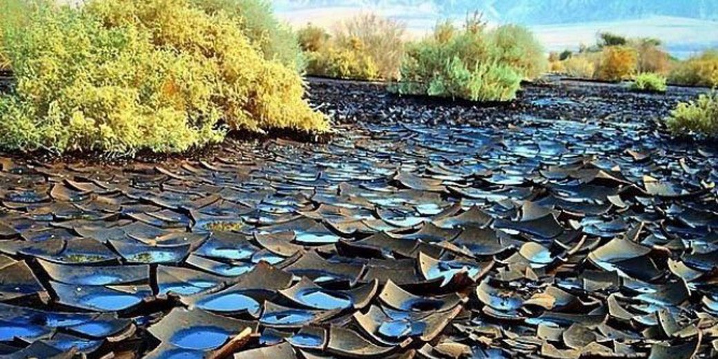 Израильская компания оштрафована за загрязнение нефтью заповедника