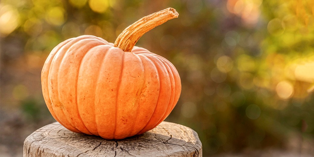 pumpkin--pixabay