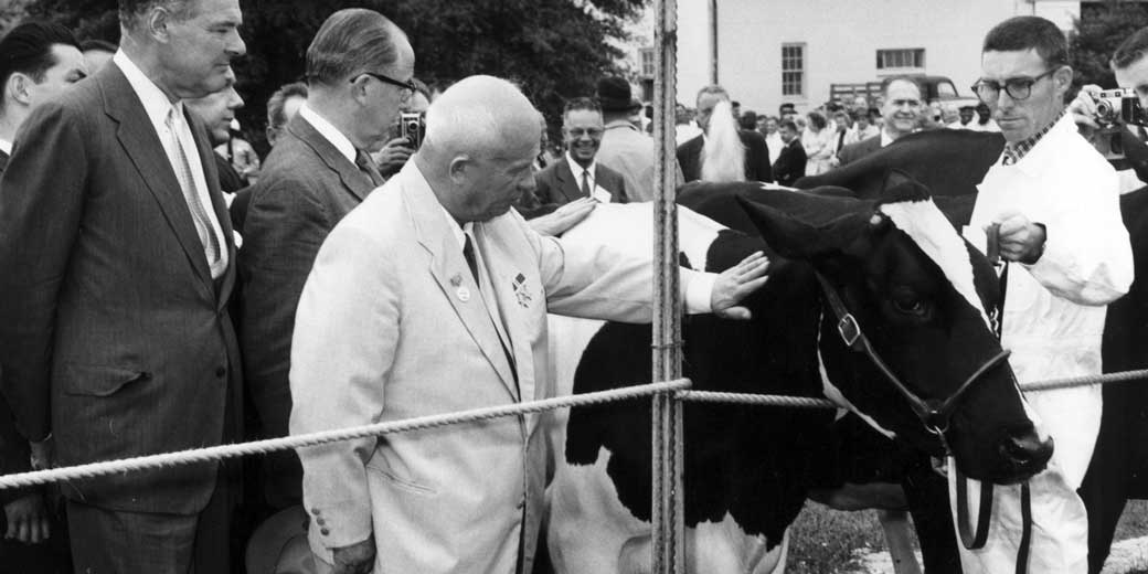 Дойная корова социализма