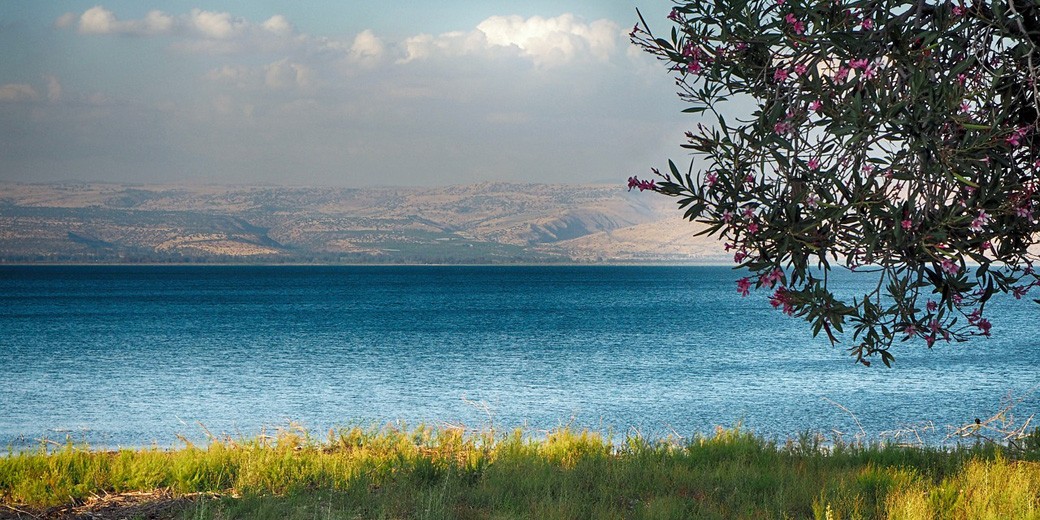 israel nature pixabay
