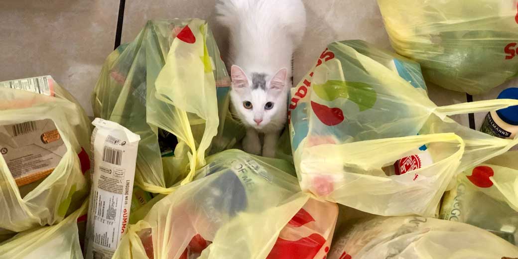 Мы год переплачивали за пластиковую посуду – и проблема не в налоге