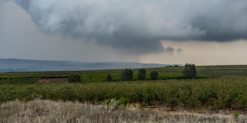 Прогноз погоды в Израиле: сильный ветер, возможны дожди, туман и пыльная буря