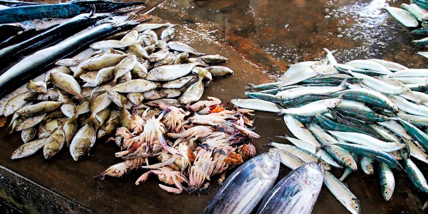 fish-market-pixabay