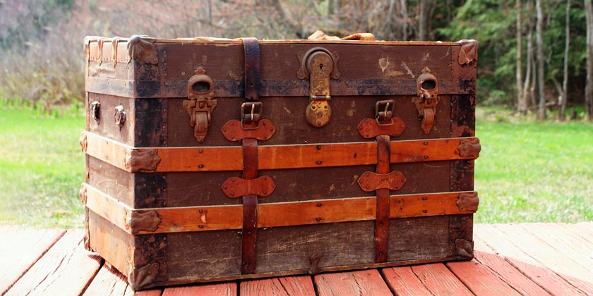 Термиты залезли в сундук и уничтожили все сбережения семьи