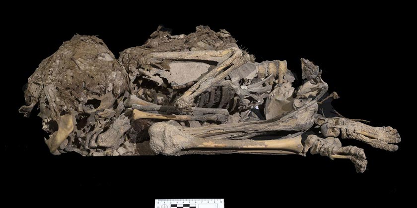 Бесценные находки израильских археологов в «Пещере ужасов»