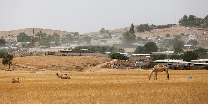 В Рахате открыли стрельбу в школе прямо во время экзамена