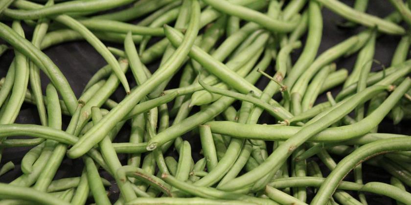 Минздрав выявил ряд нарушений на заводе «Санфрост»