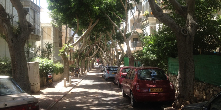 Минэкологии выделит 25 миллионов на охлаждение израильских городов