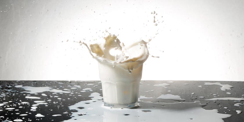 Чувствительны к лактозе? Тогда вам стоит перейти на этот тип молока