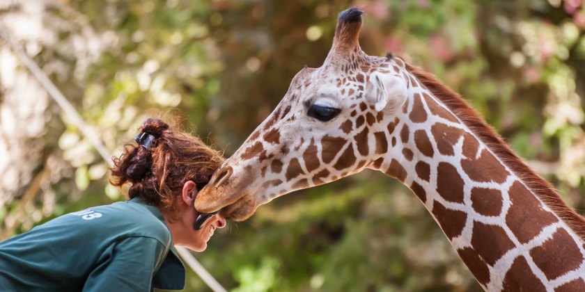 Легендарный израильский зоопарк переедет на новое место