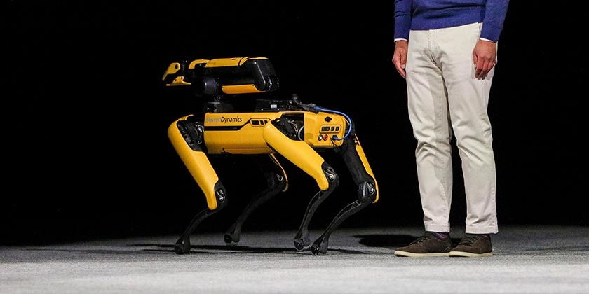 Псы режима – полицейские робособаки пугают граждан