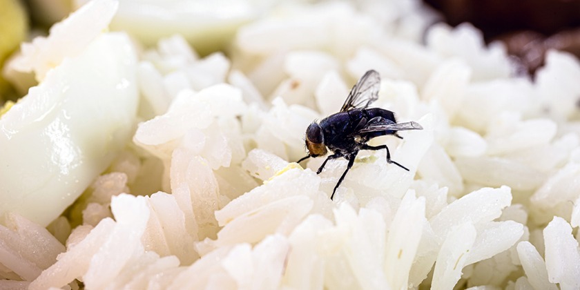 Собрались на барбекю? Прочтите эту статью