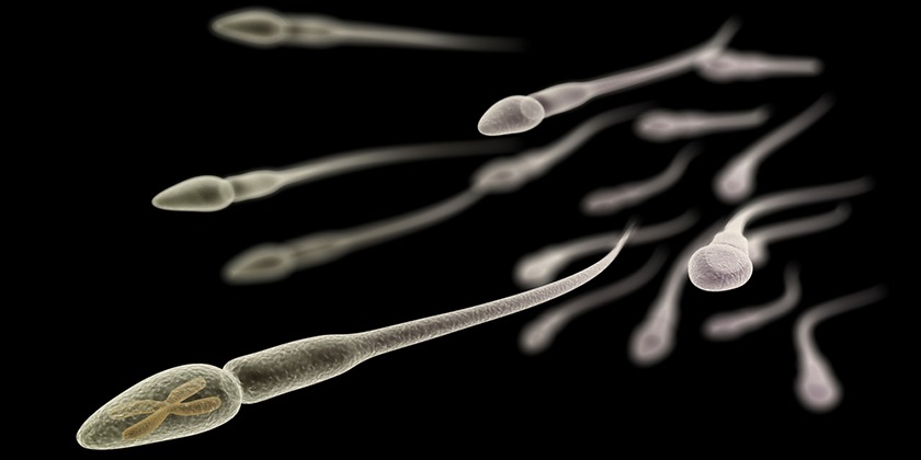 Ученые придумали, как сделать мужские контрацептивы