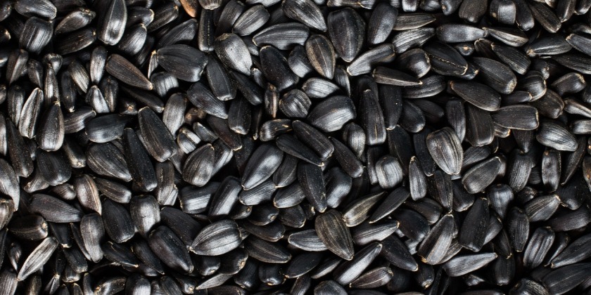 В Израиле резко выросло потребление семечек. В чем причина?