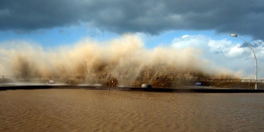 «Я вас вытащу!» – 155-кратный чемпион Израиля рассказал, как воспитывать победителей