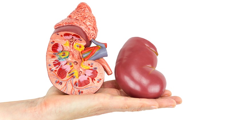 «Из трагедии рождается спасение жизни»