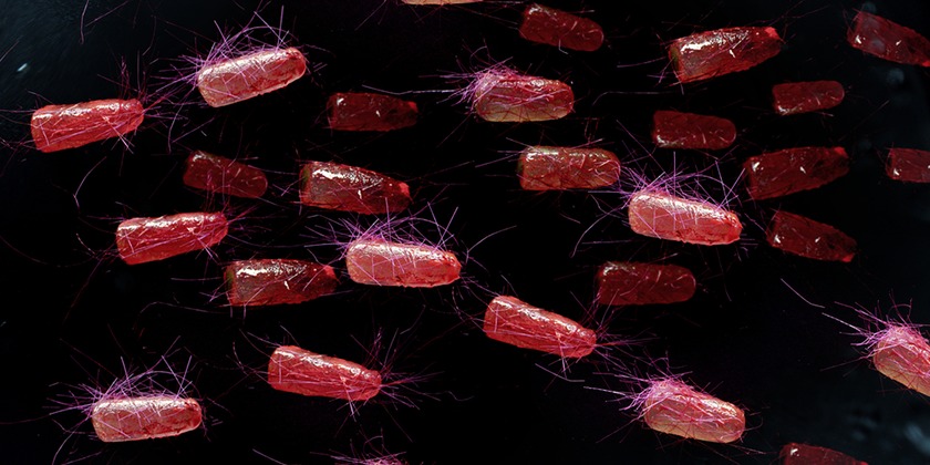 Ученые создали бактерии, способные бороться с раком