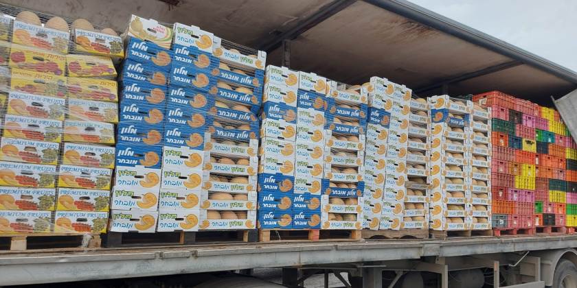 В Израиль пытались ввезти 50 тонн опасных фруктов и овощей