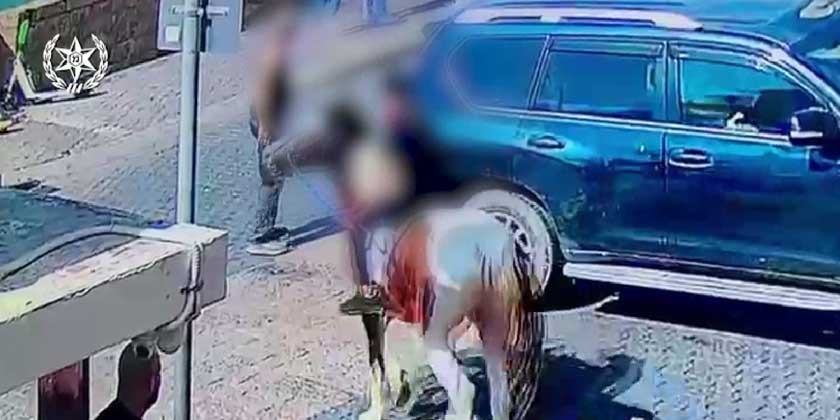16-летний подросток из Яффо на лошади сбил с ног 74-летнего пенсионера и скрылся