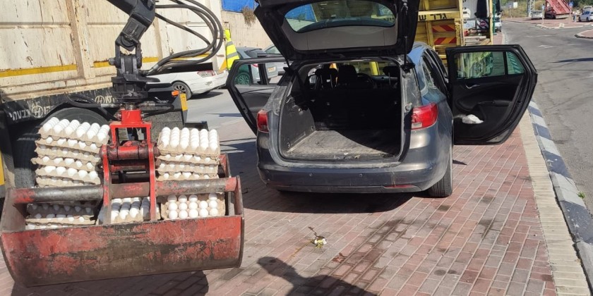 Инспекторы минсельхоза изъяли контрабандные палестинские яйца