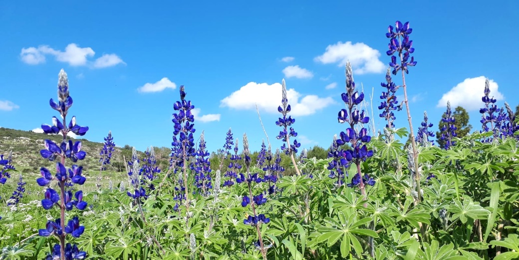 Министерство туризма инициировало бесплатные экскурсии