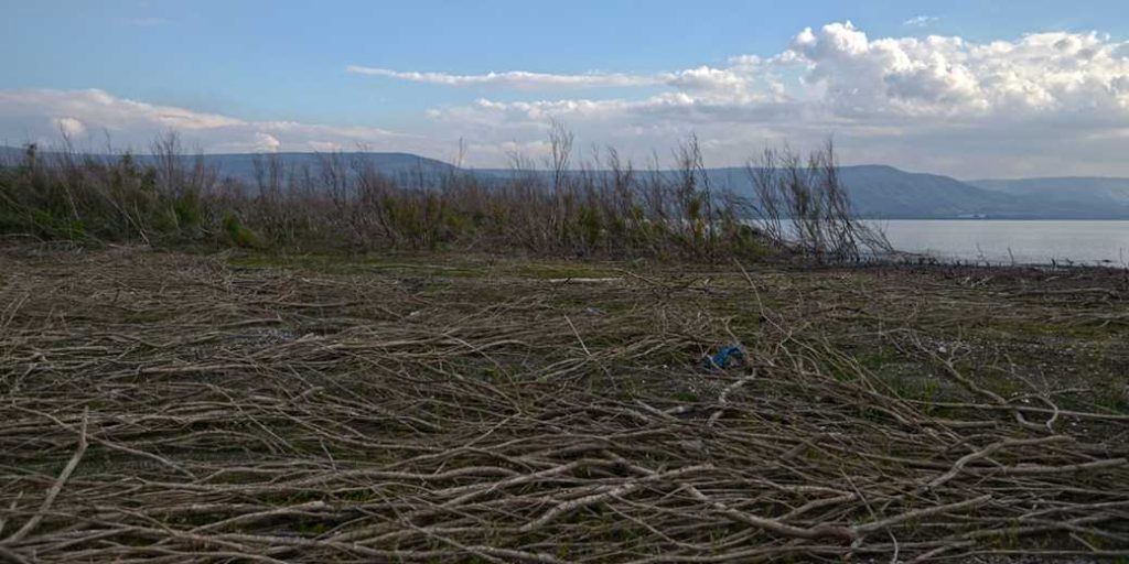 Впервые за 100 лет: в феврале зафиксировано снижение уровня Кинерета