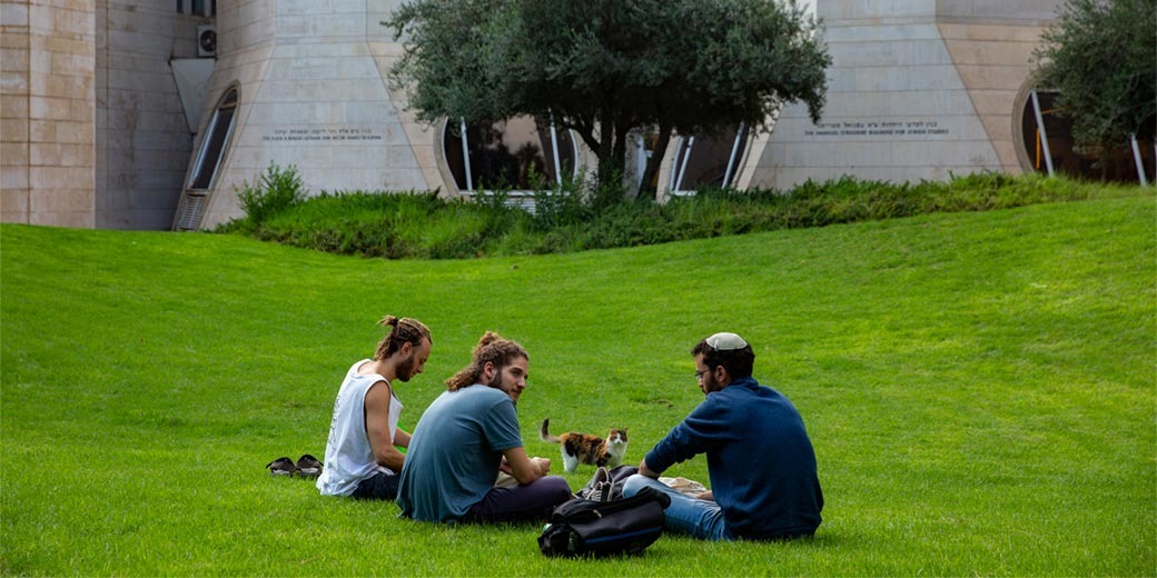 Представители национально-религиозного лагеря поступают в вузы чаще светских