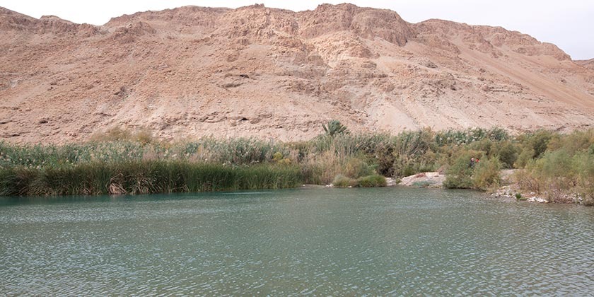 Управление охраны нацпарков и заповедников вновь приглашает гидов на работу