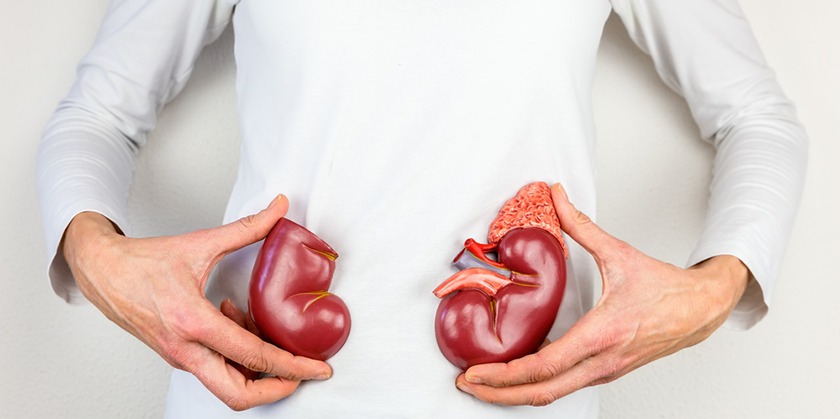 Готовность стать донором в Израиле выросла в полтора раза