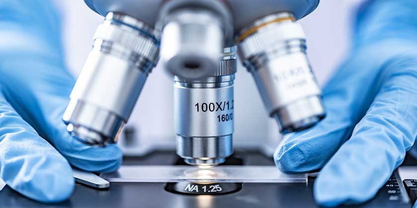 10 миллионов долларов — на генетические исследования