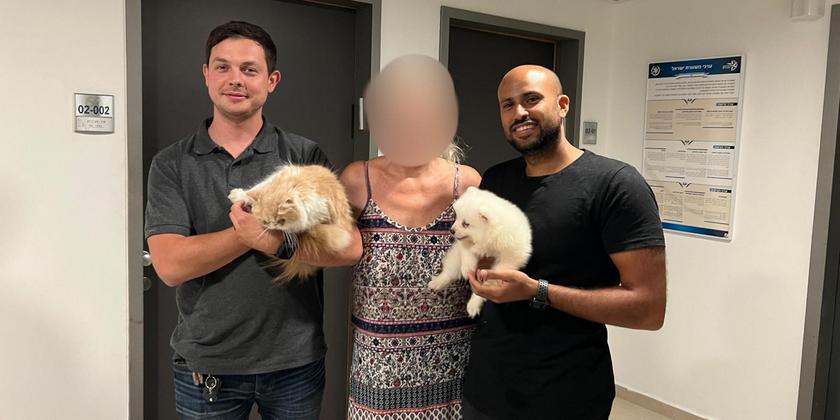 Полиция вернула владельцам украденного кота и щенков