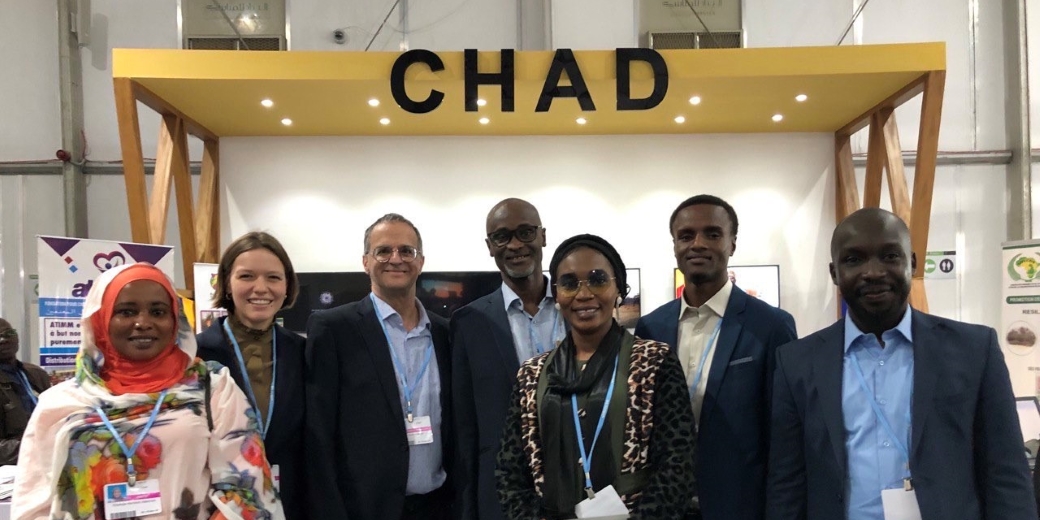 Израильтяне займутся посадкой лесов в Сахаре