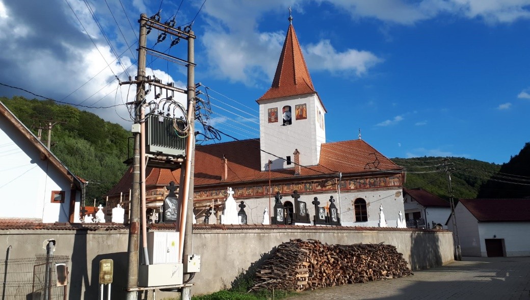 Энергетический кризис: Европа сжигает свои леса