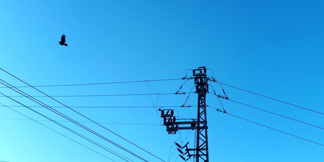 Электроэнергия продолжит дорожать: «Хеврат хашмаль» воздерживается от требования компенсаций от General Electric