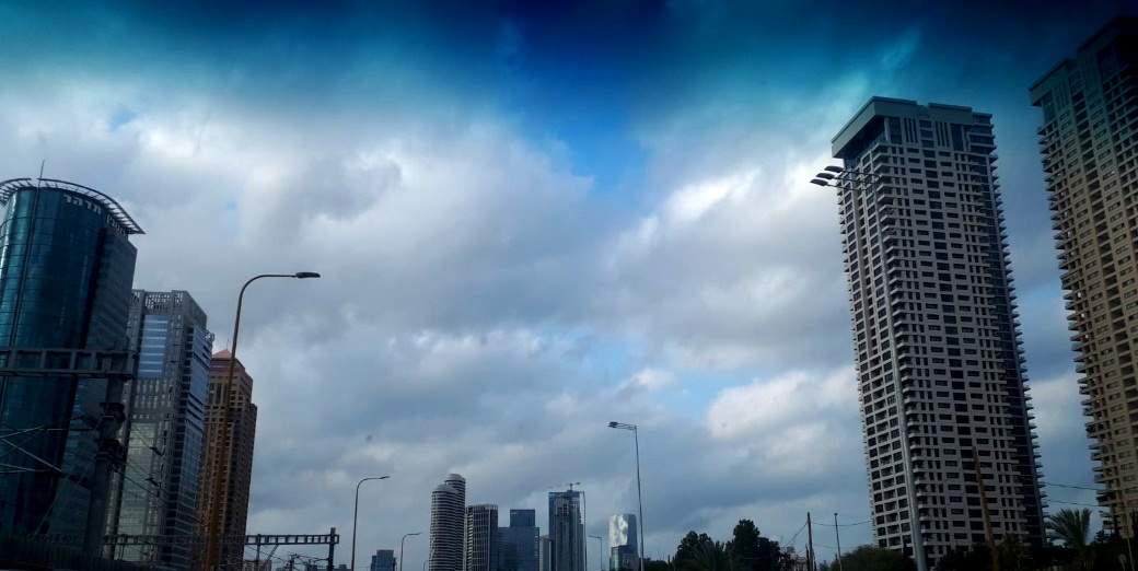 Израиль отгородится от климатического кризиса деревьями