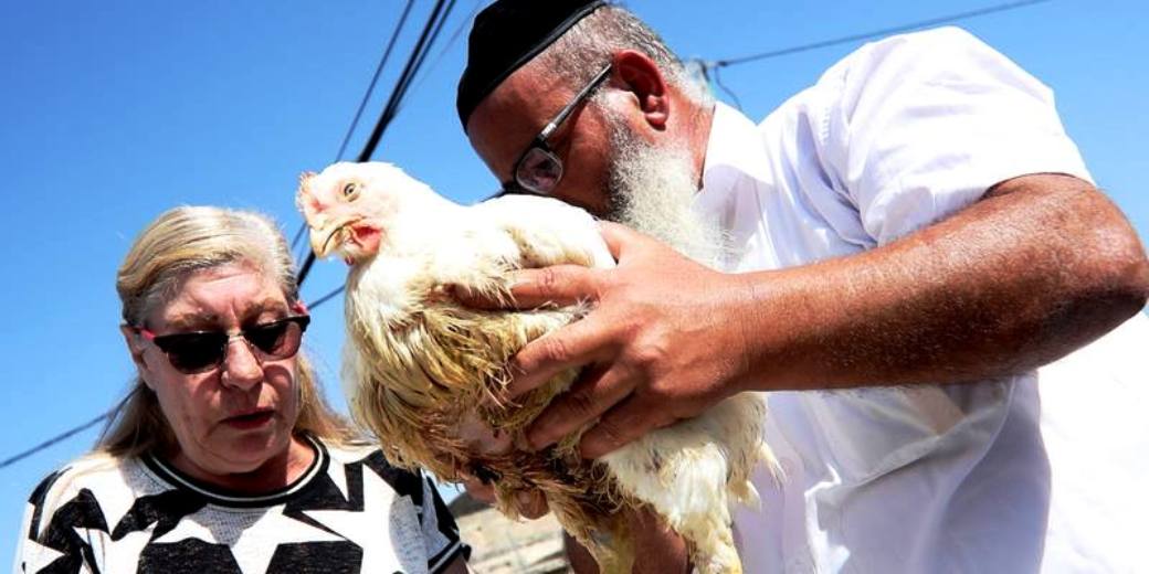 Израильтянам рекомендуют покупать мороженную курятину