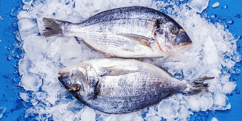 Золотая рыбка: где выгоднее всего покупать рыбу и заменители мяса?