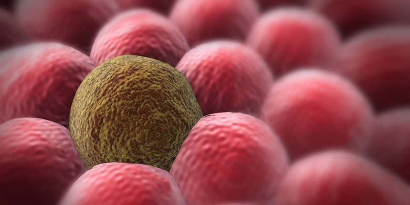 Робот размером с клетку