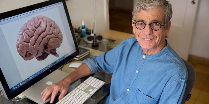 Специалисты по мозгу выступили против диктатуры