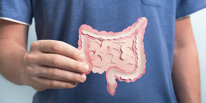 5 продуктов, которые содержат максимальное количество пребиотиков