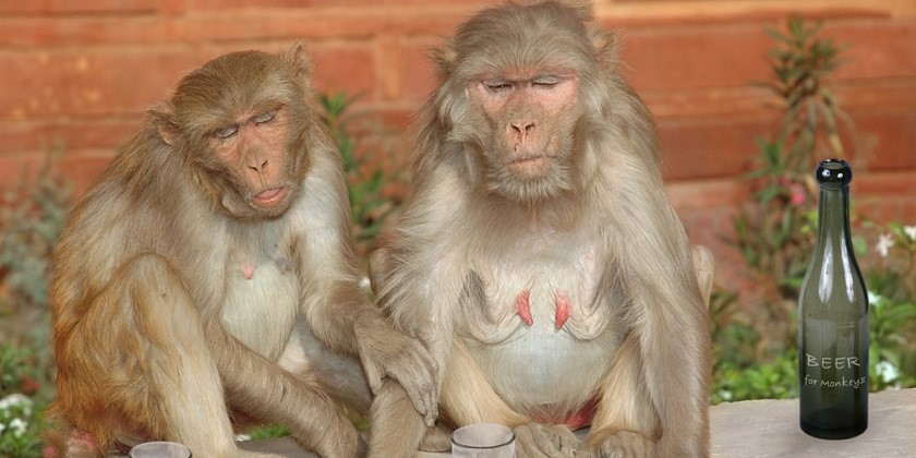 Генная терапия избавит от алкоголизма