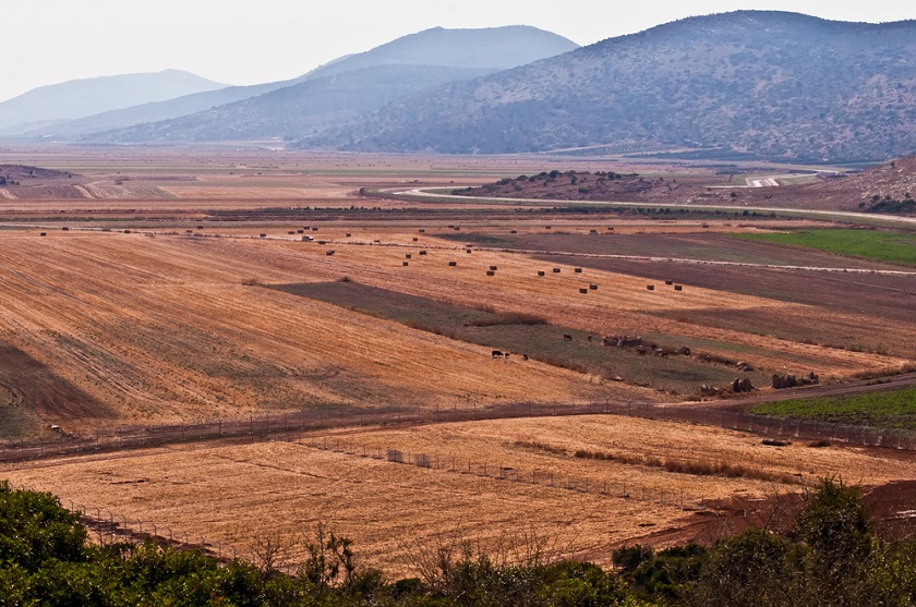 поле в Галилее Depositphotos.com