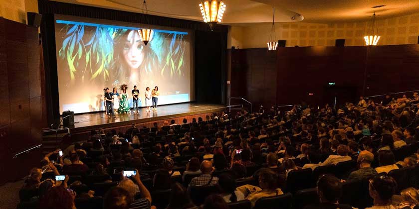 «Ползала раскупили за полтора часа»: израильтяне пропустили расцвет украинского кино — и теперь наверстывают упущенное