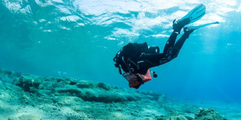 Минэкологии: «Состояние кораллового рифа в Эйлатском заливе ухудшается»