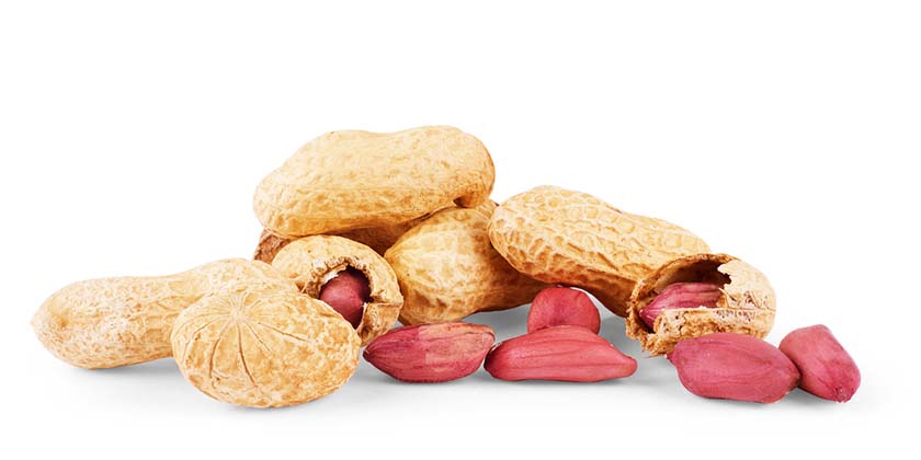 Шторм «Даниэль» уничтожил в Израиле посевы арахиса стоимостью миллионы шекелей