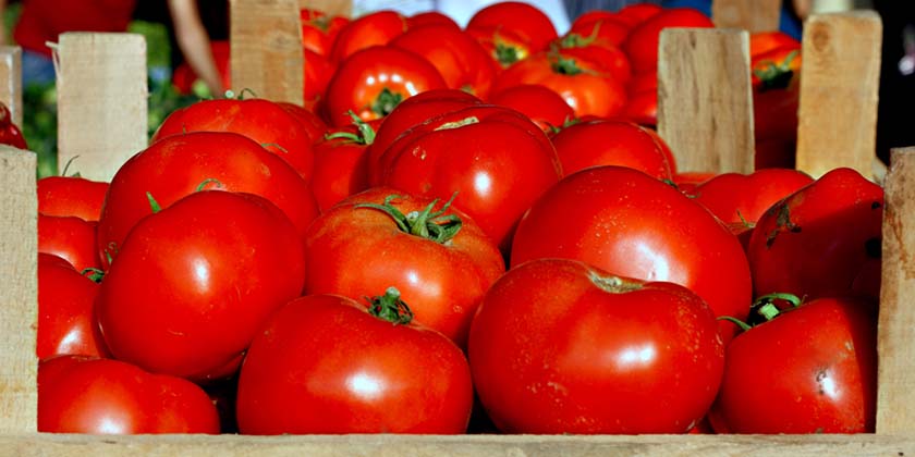 Израильская актриса организовала распродажу овощей от фермеров юга, за ...